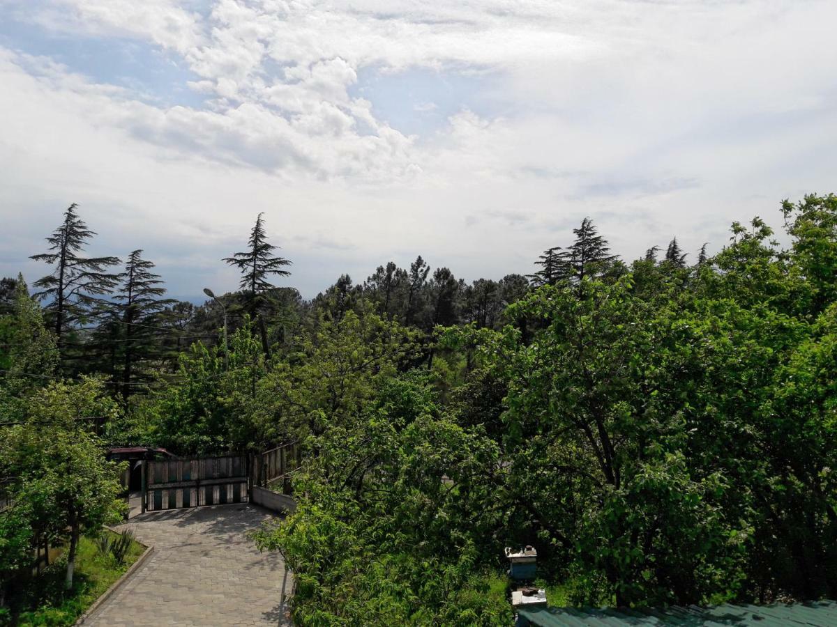 Sataplia District Otel Kutaisi Dış mekan fotoğraf