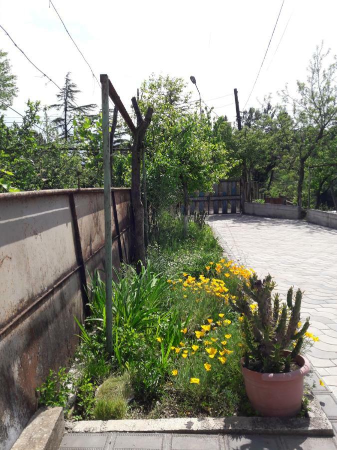 Sataplia District Otel Kutaisi Dış mekan fotoğraf